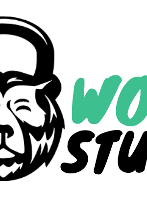 Wodstuff logo